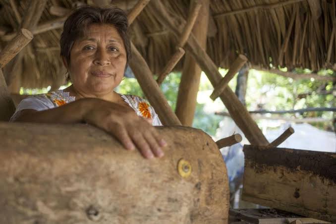 Apicultora maya gana premio internacional por su defensa al medio ambiente