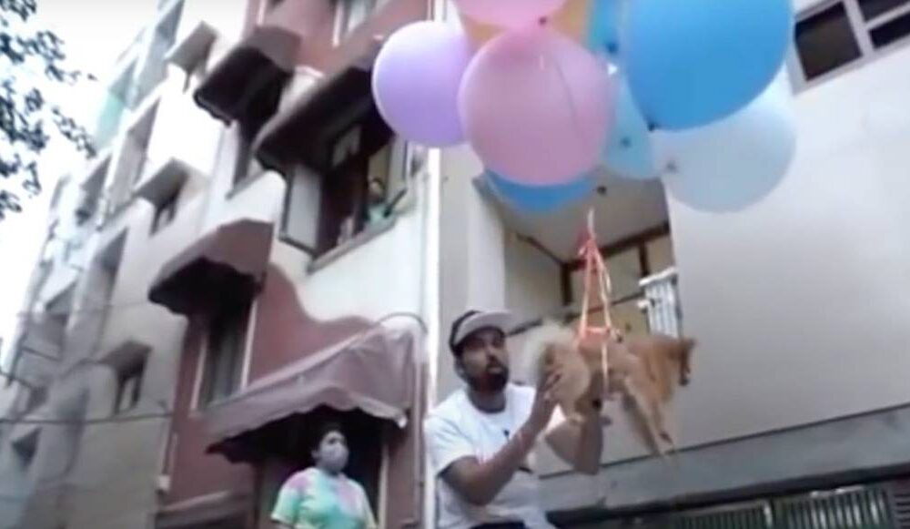 (VIDEO) Arrestan a youtuber de la India por amarrar a un perro a globos de helio