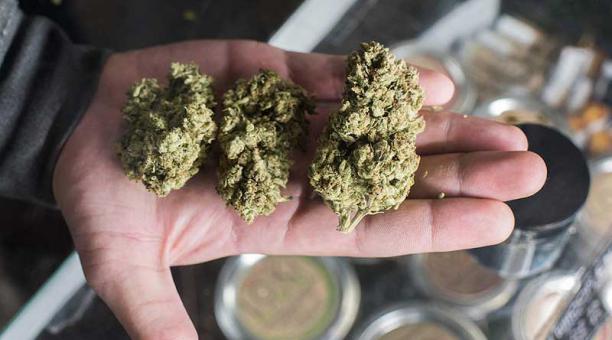 La Suprema Corte elimina artículos que prohiben el uso lúdico de la cannabis