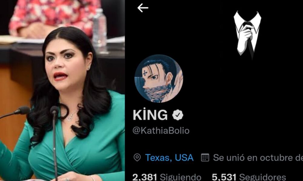 “Hackean” la cuenta de Twitter de la diputada Kathia Bolio