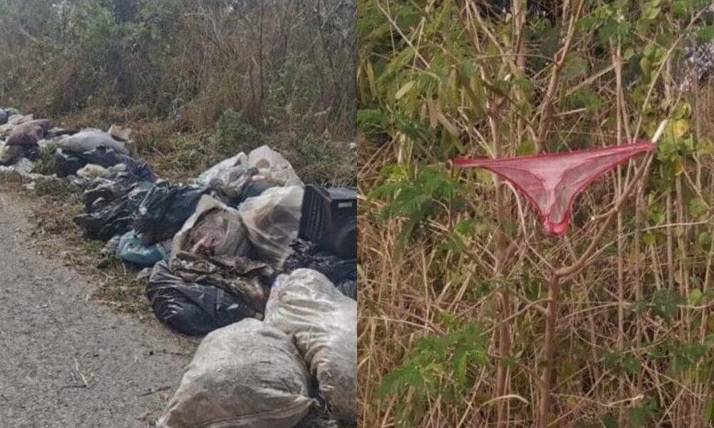 Exhortan a la población a no tirar su basura en las calles de Motul