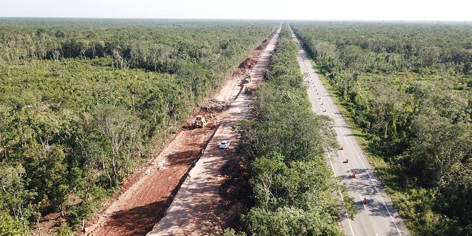 Suspenden obras del Tren Maya en Yucatán tras amparo