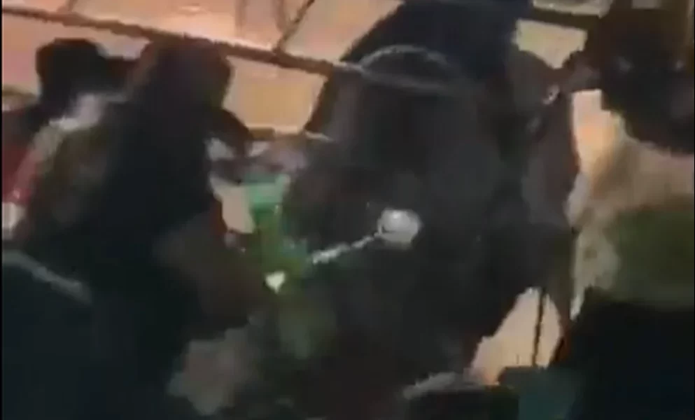 (VIDEO) Toro se sale del ruedo y embistió al público durante jaripeo en Morelia