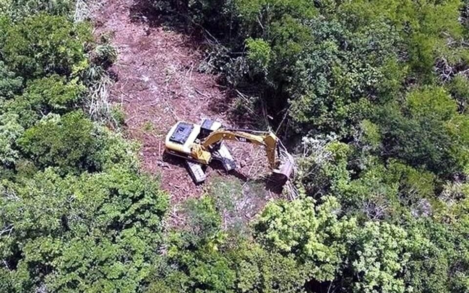 Tribunal federal da “luz verde” a Tramo 5 Sur del Tren Maya