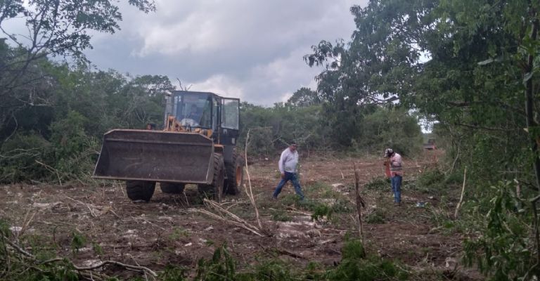 Acusan a Ortega Pacheco de robo de tierras en Dzemul