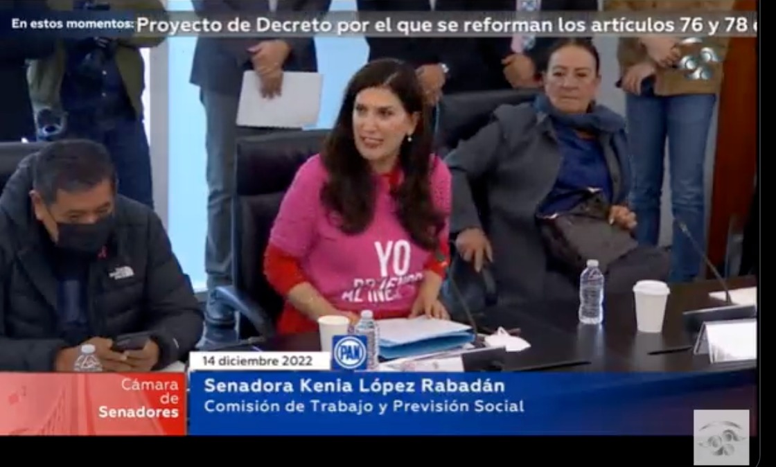 (VIDEO) Hay que agradecer a los empresarios por las Vacaciones Dignas: senadora panista