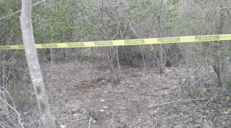 Tren Maya: macabro hallazgo en un monte de Kanasín