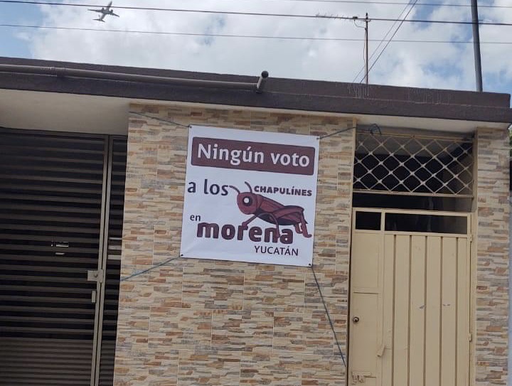 Yucatecos empiezan protesta contra chapulines