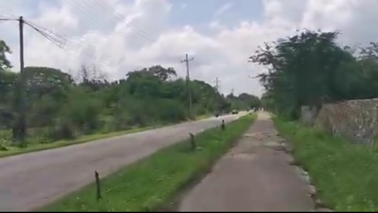 Destrucción de Árboles para Ampliar Carretera entre Cholul y Sitpach Indigna a Ciudadanos